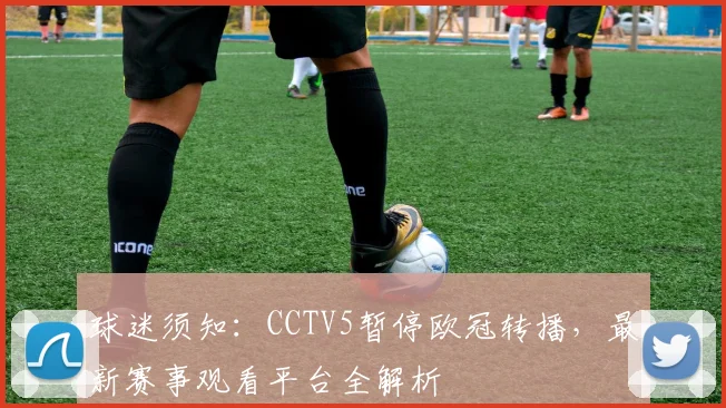 球迷须知：CCTV5暂停欧冠转播，最新赛事观看平台全解析