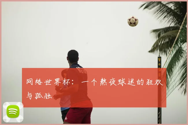 网络世界杯：一个熬夜球迷的狂欢与孤独