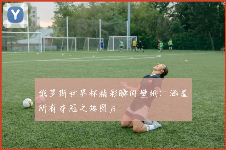 俄罗斯世界杯精彩瞬间壁纸：涵盖所有夺冠之路图片