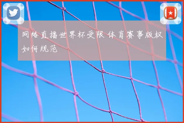 网络直播世界杯受限 体育赛事版权如何规范