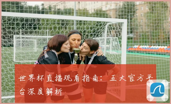 世界杯直播观看指南：五大官方平台深度解析