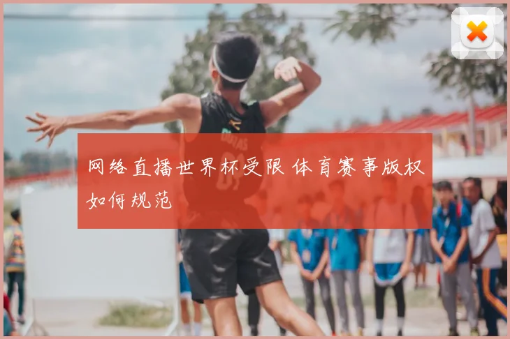 网络直播世界杯受限 体育赛事版权如何规范