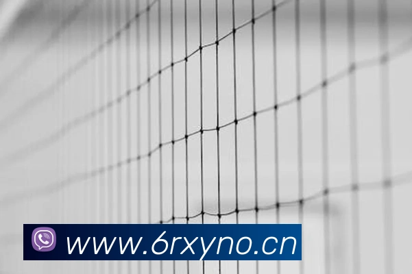 App Interface Preview